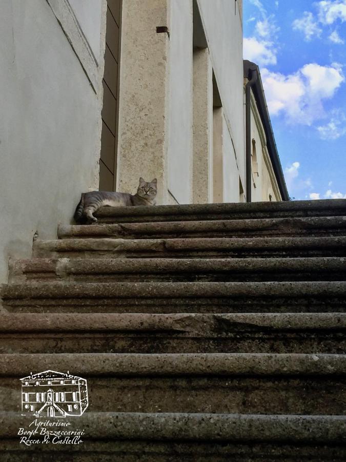Agriturismo Borgo Buzzaccarini Rocca Di Castello Monselice Dış mekan fotoğraf